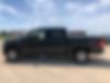 1FTEW1EP1HFA68087-2017-ford-f-150-1