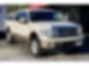 1FTFW1CTXDKD26788-2013-ford-f-150-0