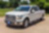 1FTEW1CP5GFB69795-2016-ford-f-150-2