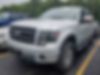 1FTFW1ET0DFD87363-2013-ford-f-150
