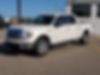1FTFW1CT0DFC16728-2013-ford-f-150-2