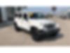 1C4BJWEG0HL679504-2017-jeep-wrangler-unlimited-0