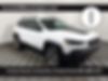 1C4PJMBX7KD304550-2019-jeep-cherokee-0