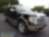 1FTFW1ET0DKD86222-2013-ford-f-150-0