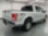 1FTEW1EP2HFB01517-2017-ford-f-150-2
