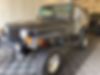 1J4FA49S21P300435-2001-jeep-wrangler-0