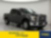 1FTEW1EP4HFA93596-2017-ford-f150-0