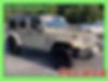 1C4BJWEG1HL598799-2017-jeep-wrangler-0