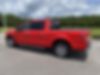 1FTEW1CP7KFA05697-2019-ford-f-150-1