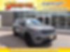 1C4RJEAG2LC106305-2020-jeep-grand-cherokee-0