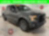 1FTEW1EP5GFA71413-2016-ford-f-150-0