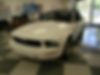 1ZVFT84N175291740-2007-ford-mustang-1