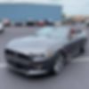 1FATP8FF4H5209426-2017-ford-mustang-0
