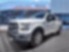 1FTEX1EP1HFB35087-2017-ford-f-150-2