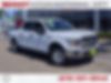 1FTEW1E58JFB31724-2018-ford-f-150-0