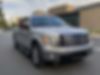 1FTFW1CT5BFC14003-2011-ford-f-150-0