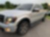 1FTFW1ET7DKD77548-2013-ford-f-150-2