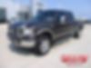 1FTSW21P56EB68906-2006-ford-f-250-0