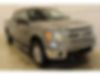 1FTFW1ET5DFD65939-2013-ford-f-150-0