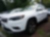 1C4PJMDX1KD412255-2019-jeep-cherokee-2