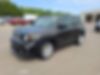 ZACNJABB8LPL85715-2020-jeep-renegade
