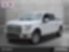 1FTEW1EP1HFA65755-2017-ford-f-150-0