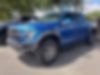 1FTFW1RG6HFC81566-2017-ford-f-150-0
