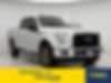 1FTEW1EP5HKE10504-2017-ford-f-150-0