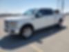 1FTFW1E58LFB49325-2020-ford-f-150-0