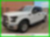 1FTEW1EFXFKD46318-2015-ford-f-150