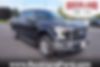 1FTEW1EP8HFB46977-2017-ford-f-150-0