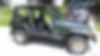 1J4FA59S43P315124-2003-jeep-wrangler-1