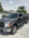 1FTFW1ET4CFB00038-2012-ford-f-150-0