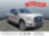 1FTEW1EP5HFB61887-2017-ford-f-150-0