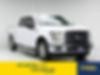 1FTEW1CP5HKE11493-2017-ford-f-150
