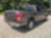 1FTEW1EP3HFB28094-2017-ford-f150-2