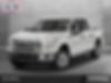 1FTEW1EP0GKD51425-2016-ford-f-150