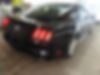 1FA6P8AM5H5338178-2017-ford-mustang-1