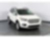 1FMCU0GD8JUD10140-2018-ford-escape-0