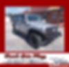 1J4BA3H18AL120496-2010-jeep-wrangler-0