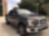1FTEW1CP1GFA50979-2016-ford-f-150-0