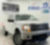 1FTFW1ET0BFD14619-2011-ford-f-150-0