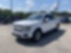 1FTEW1EP6KFB31417-2019-ford-f-150-2