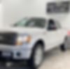 1FTFW1ET0BFD14619-2011-ford-f-150-2