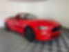 1FATP8UH0K5104412-2019-ford-mustang-1