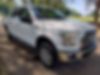 1FTEW1EF6FKD53475-2015-ford-f-150-0