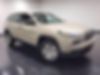 1C4PJMABXEW214419-2014-jeep-cherokee-2