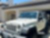 1J4BA3H10AL216204-2010-jeep-wrangler