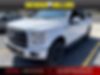 1FTEW1EP0GFB70172-2016-ford-f-150-0