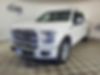1FTEW1CG1GFB26135-2016-ford-f-150-2